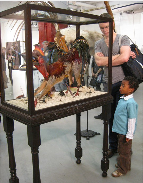 picture-6